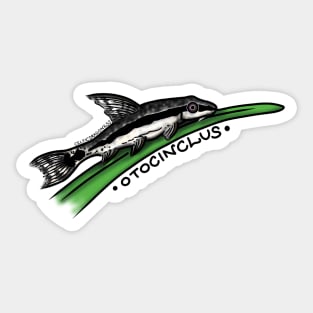 Otocinclus Fishie Sticker